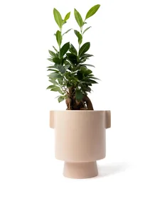 Nigata pot, large