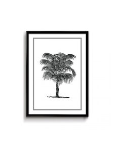Story Poster Palmtree