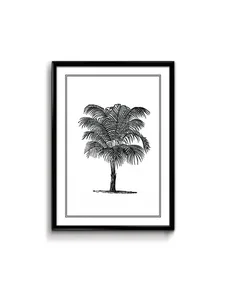 Story Poster Palm Tree
